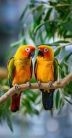 ai generato un' paio di piccioncini seduta insieme su un' ramo, loro luminosa arancia e giallo piume foto