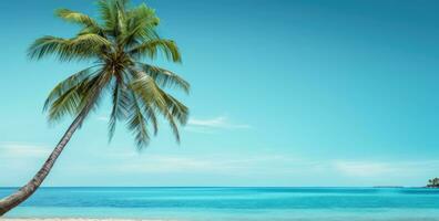 ai generato un' palma albero a il spiaggia spiaggia foto