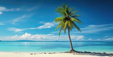 ai generato un' palma albero a il spiaggia spiaggia foto