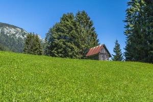 scorci del paese montano di sappada foto