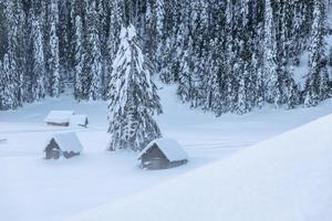 dopo la nevicata. ultime luci del crepuscolo a sappada. magia delle dolomiti foto