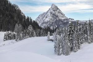 dopo la nevicata. ultime luci del crepuscolo a sappada. magia delle dolomiti foto