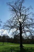 guerra pubblico parco di luton cittadina di Inghilterra durante freddo e soleggiato giorno di aprile 7°, 2023 foto