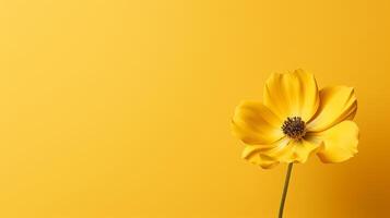 ai generato giallo girasole su giallo sfondo piatto posizione, superiore Visualizza foto