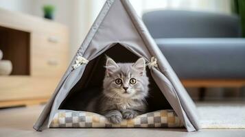 ai generato adorabile grigio gattino con Impressionante occhi nel un' elegante tenda letto, morbido cucciolo amichevole casa ambientazione foto