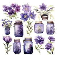 ai generato collezione di acquerello muratore barattoli con viola fiori clipart. ai generato foto