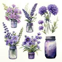 ai generato collezione di acquerello muratore barattoli con viola fiori clipart. ai generato foto