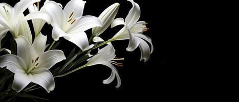ai generato bianca giglio fiori su nero sfondo. ai generato foto
