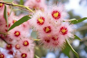 ai generato bellissimo gomma albero rosa fiori e mini cuffie. ai generato foto