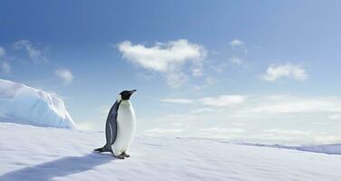 ai generato pinguino in piedi nel Antartide guardare in il blu cielo. ai generato foto