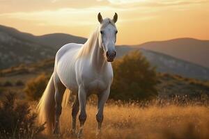 ai generato bianca cavallo o cavalla nel il montagne a tramonto. ai generato foto