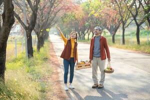 bellissimo donna con padre puntamento foglia autunno su nazione strada con acero albero durante autunno stagione foto