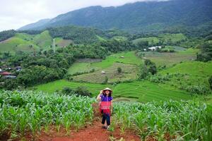 asiatico donna indossare collina tribù capi di abbigliamento con di vimini cestino è sorridente su agricoltura risaia terrazza riso su montagna. viaggiatore e agricoltura per la libertà nel tropicale cultura vita nel Tailandia foto