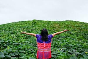 asiatico donna indossare collina tribù capi di abbigliamento è diffusione braccia nel zucche agricoltura azienda agricola su montagna per la libertà vita nel Chiang Mai Provincia, Tailandia. persone per viaggio nel verdura tropicale piovoso stagione foto