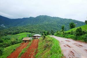 naturale fangoso bagnato campagna strada nel tropicale pioggia foresta su montagna nel settentrionale di Tailandia. traccia pista fango strada nel foresta natura rurale paesaggio. Marrone argilla pozzanghera modo trasporto nel campagna foto