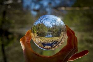 lensball fotografia, natura scena nel il foresta con lago e cane nel primo piano. foto