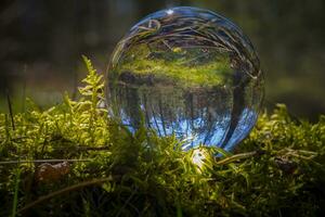 natura palla di vetro fotografia. foresta scena con lensball nel muschio foto