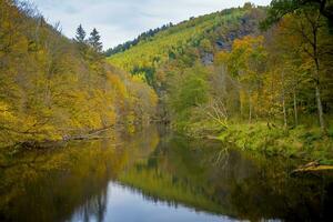 Visualizza su il fiume nostroil nel il belga nazionale parco Due nostro nel il Ardenne di Vallonia, Belgio durante autunno foto