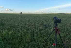 un' telecamera con un' lente su un' treppiedi, pronto per assunzione fotografie o video nel natura. Fotografare e le riprese paesaggi, animali selvatici.