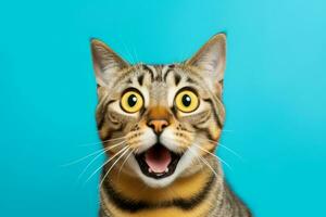 ai generato pazzo sorpreso gatto rendere grande occhi. emotivo divertente gatto guardare scioccato. generativo ai foto