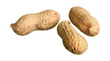 biologico arrostito arachidi. isolato Noce merenda concetto. sano, delizioso, e croccante semi foto