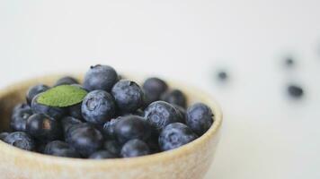 fresco mirtilli. organico, succoso e nutriente frutta isolato su bianca sfondo. salutare spuntini concetto e ricco di antiossidanti nutrizione foto