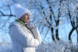 simpatico vecchio donna nel un' pelliccia cappotto nel il inverno foto