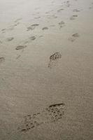 impronte sulla sabbia della spiaggia foto