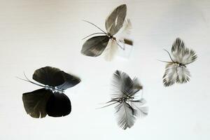 fatto a mano farfalle fatto di piume foto