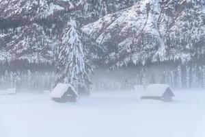 dopo la nevicata. ultime luci del crepuscolo a sappada. magia delle dolomiti foto