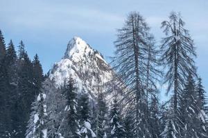 dopo la nevicata. ultime luci del crepuscolo a sappada. magia delle dolomiti foto