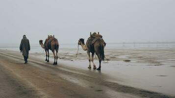ai generato solitario nomade principale cammelli su un' nebbioso mattina trekking attraverso il vasto alveo di il sahariana periferia, sperimentare il senza tempo viaggio di tradizionale roulotte foto