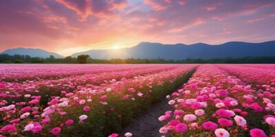 ai generato rosa campo nel il Alba mattina con bellissimo cielo foto