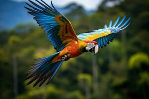 ai generato volante ara pappagallo, colorato amazon ara pappagallo contro giungla, natura e foresta pluviale esotico tropicale uccelli ai generato foto