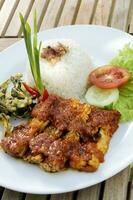 nasi tempe Tahu penyet o premuto tofu tempeh riso foto