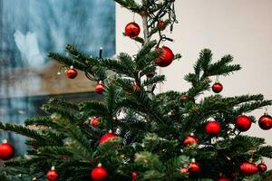 Natale strada arredamento. festivo alberi con Natale rosso palle. foto