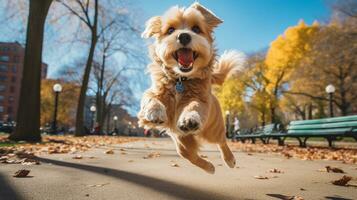 ai generato foto di un' contento cane giocando andare a prendere nel un' vivace urbano. generativo ai