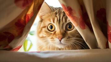 ai generato foto di un' gatto sbirciando su a partire dal dietro a un' tenda. generativo ai