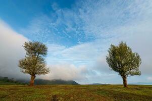 mae Però Visualizza punto con grande alberi nel il mattina a chiang mai, Tailandia foto