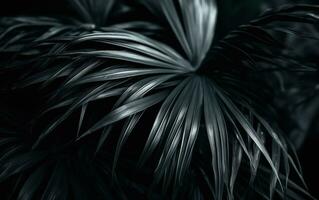 ai generato macro buio palma impianti partire foto