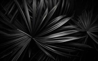 ai generato macro buio palma impianti partire foto