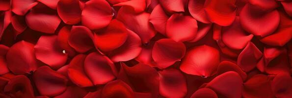 ai generato superiore Visualizza di un' rosso rosa petalo con romantico toni, Perfetto per un' st san valentino giorno a tema sfondo foto