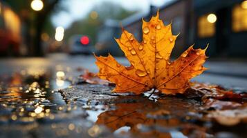 ai generato bellissimo giallo caduto autunno acero foglia su il asfalto di il strada bagnato a partire dal piovere, autunno nel il città foto