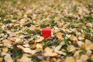 confezione regalo in foglie d'autunno, copia spazio foto