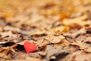 infatuazione, concetto di amore romantico unilaterale foto