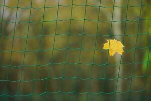 concetto di fine stagione sportiva foto