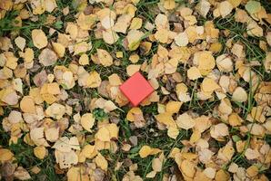 confezione regalo in foglie d'autunno, copia spazio foto