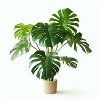 ai generato Monstera deliciosa pianta vero foto fotorealistico