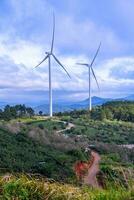 bellissimo paesaggio nel il mattina a causa dato, da lat città, lam dong Provincia. vento energia su tè collina, mattina scenario su il pendio di tè piantato foto