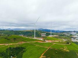 bellissimo paesaggio nel il mattina a causa dato, da lat città, lam dong Provincia. vento energia su tè collina, mattina scenario su il pendio di tè piantato foto